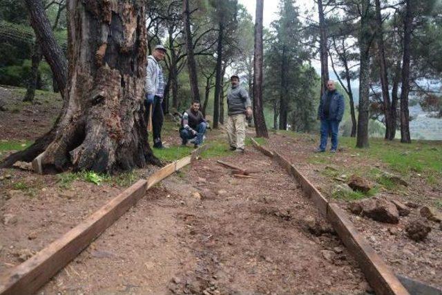 Engelli Meryem İçin 40 Metrelik Beton Yol Yapıldı