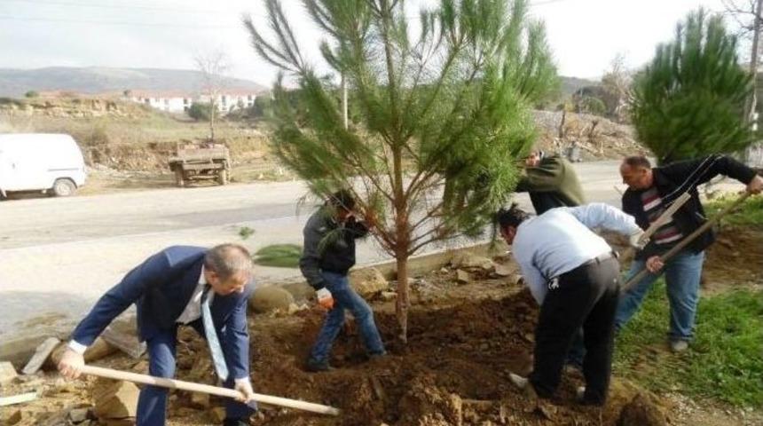 G&ouml;k&ccedil;eada Ağa&ccedil;landırılıyor