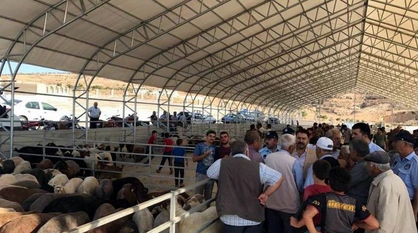 Hayvan Pazarı Yeni Yerinde Faaliyete Başladı