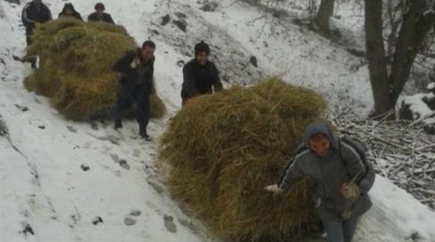 &Ccedil;ift&ccedil;ilerin Karda Ot Taşıma &Ccedil;ilesi