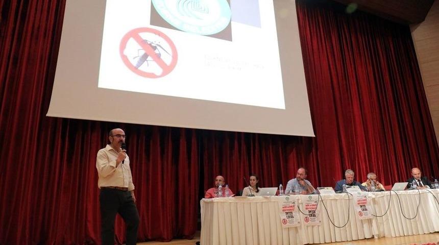 Belediyeden Çevreye Duyarlı Sivrisinek Mücadelesi