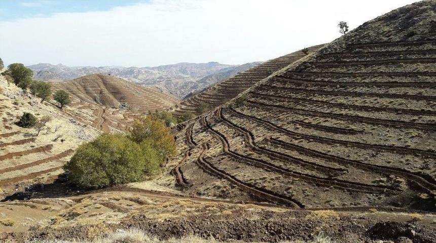 &Ccedil;elikhan İl&ccedil;esinde Toprak Fidanla Buluşacak
