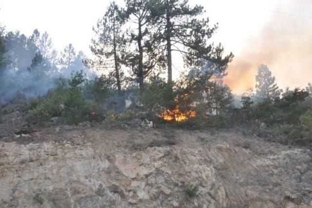 Kütahya Ve Bilecik'teki Orman Yangılarına Müdahaleler Sürüyor