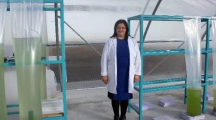 Atat&uuml;rk &Uuml;niversitesi Su &Uuml;r&uuml;nleri Fak&uuml;ltesi Biyodizel &Uuml;retecek