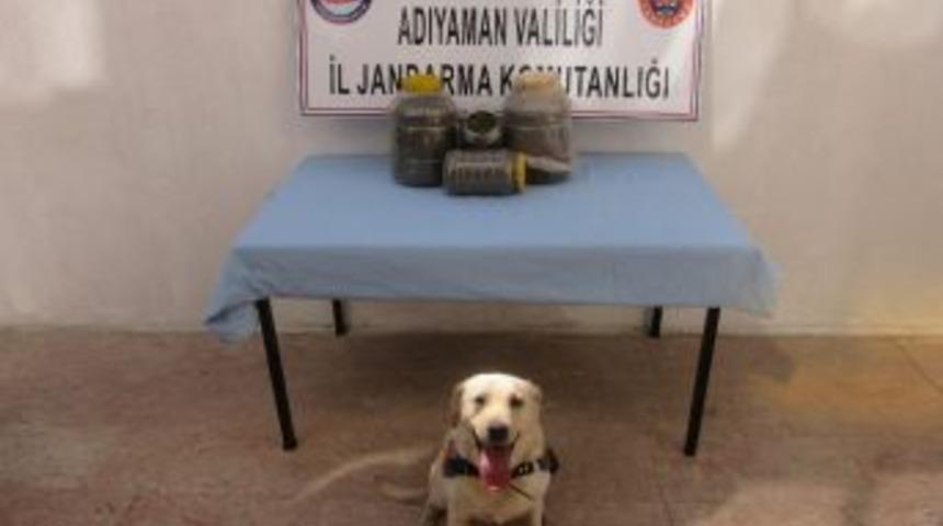 Jandarma Uyuşturucu Madde Ele Ge&ccedil;irdi