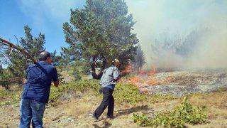 Sivas’ta Orman Yangını