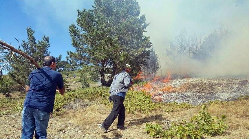 Sivas’ta Orman Yangını