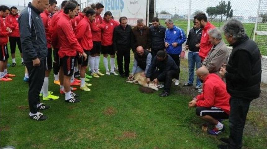 Samsunspor&rsquo;da Kurban Kesildi