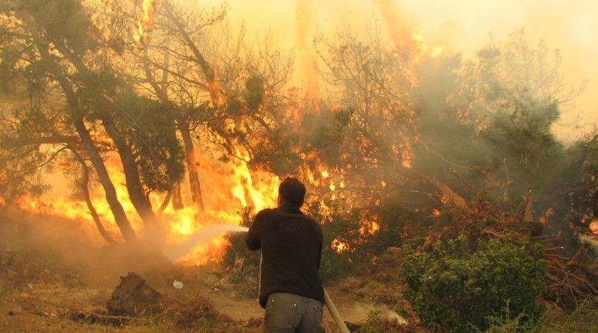 Eskişehir&rsquo;deki Orman Yangını B&uuml;y&uuml;meden Kontrol Altına Alındı