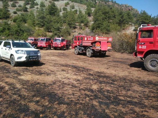 Eskişehir&rsquo;deki Orman Yangını B&uuml;y&uuml;meden Kontrol Altına Alındı 1