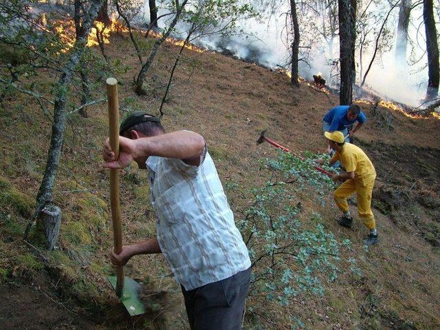 Eskişehir’deki Orman Yangını Büyümeden Kontrol Altına Alındı