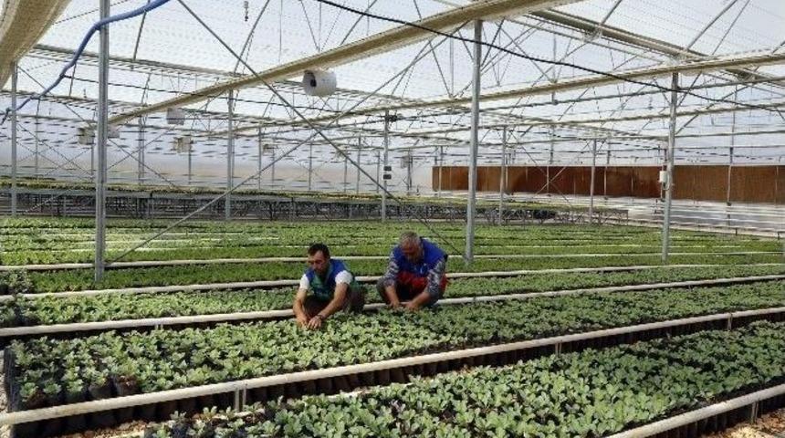 Şahinbey&rsquo;in &Ccedil;ehresi &Ccedil;i&ccedil;ek A&ccedil;tı