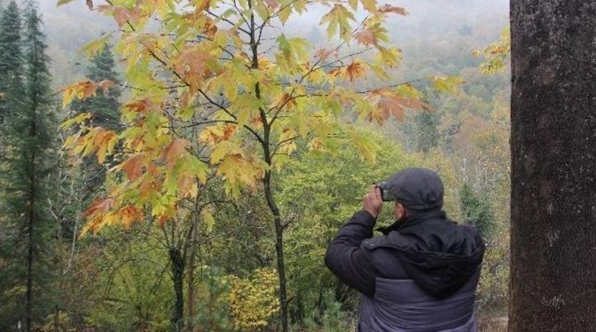 Kasfot &Uuml;yeleri Yenice Ormanlarında Foto Safari Yaptılar