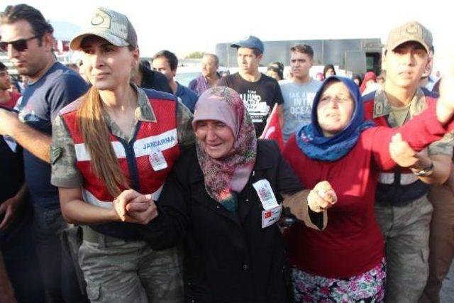 Gaziantep'e Şehit Ateşi Düştü (3)