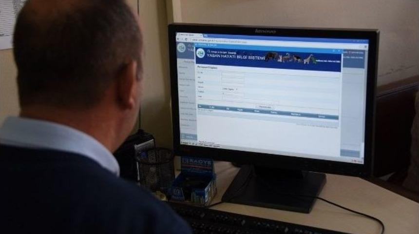 Sokak Hayvanlarına &Ccedil;ipli Takip