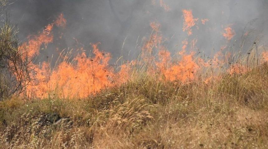 Sinop&rsquo;ta &Ouml;rt&uuml; Yangını
