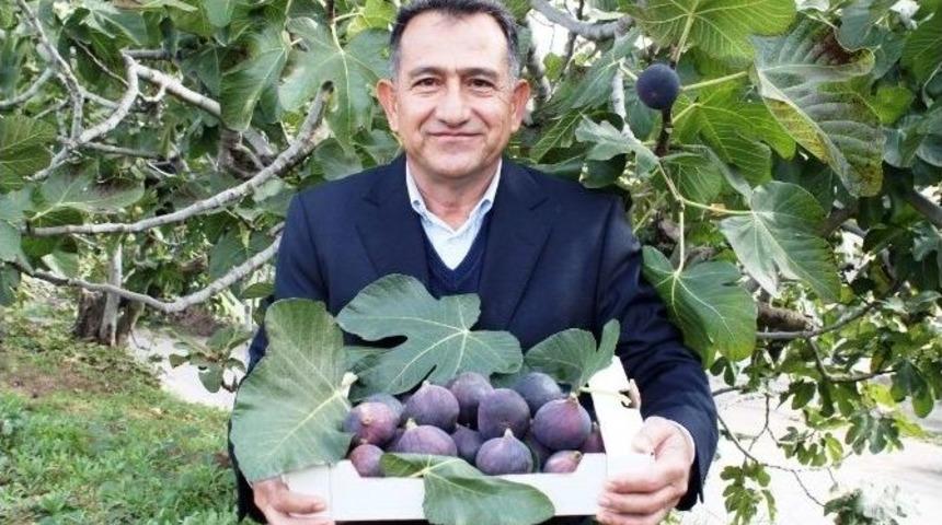 Bursa&rsquo;dan İngiliz Kraliyet Ailesine İncir Tadında Teşekk&uuml;r