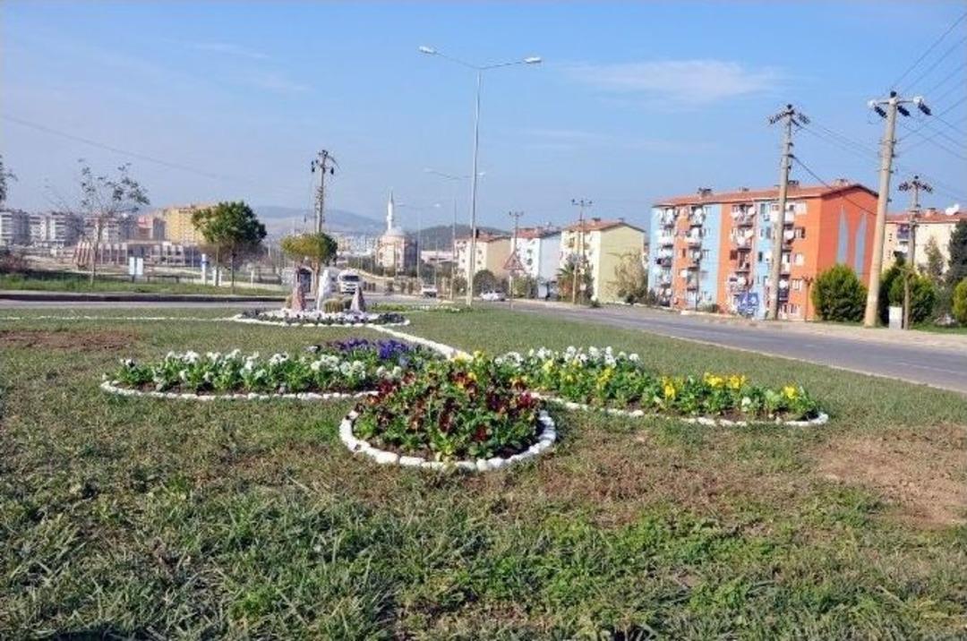 Aliağa Mis Gibi Kokacak