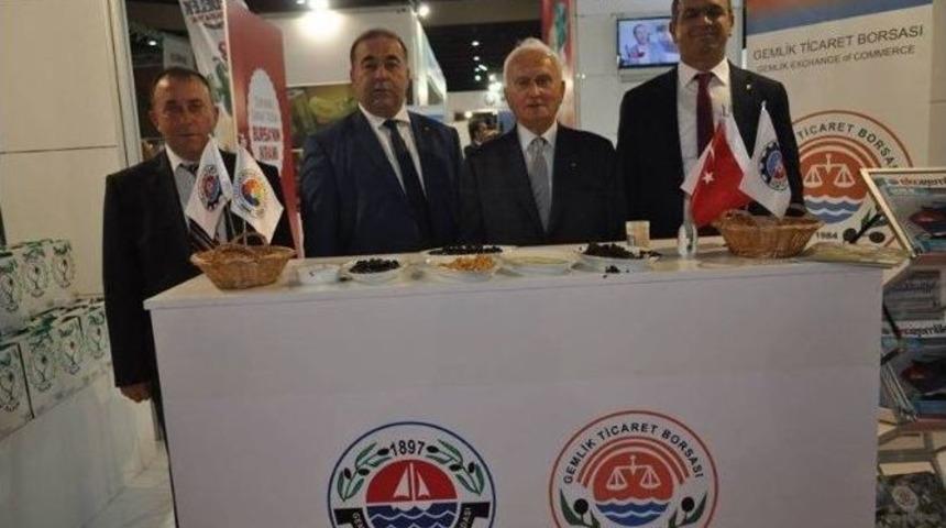 Gtso&rsquo;dan Y&ouml;rex &Ccedil;ıkarması