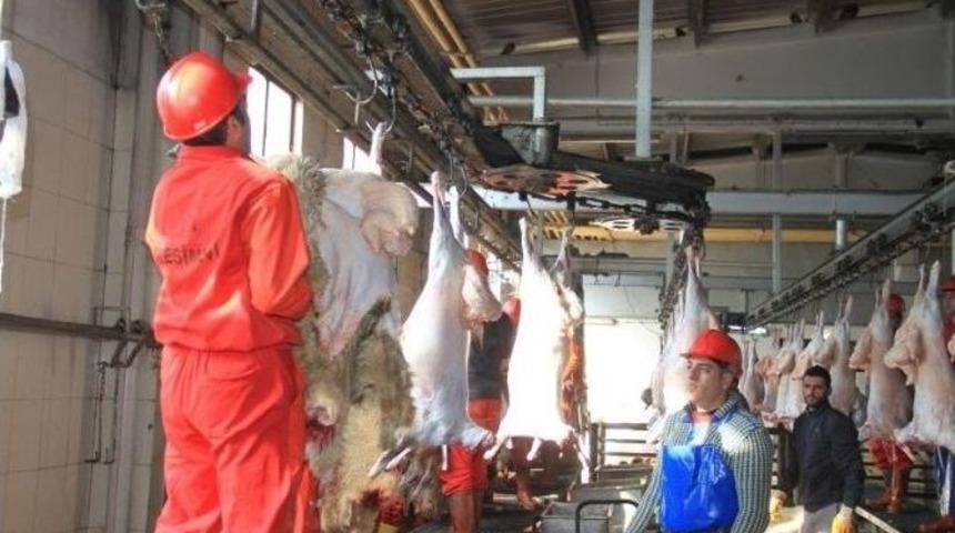 Erzincan Et Ve Tavuk Entegre Tesisi 9 İle Hitap Ediyor