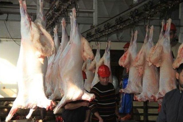 Erzincan Et Ve Tavuk Entegre Tesisi 9 İle Hitap Ediyor 1