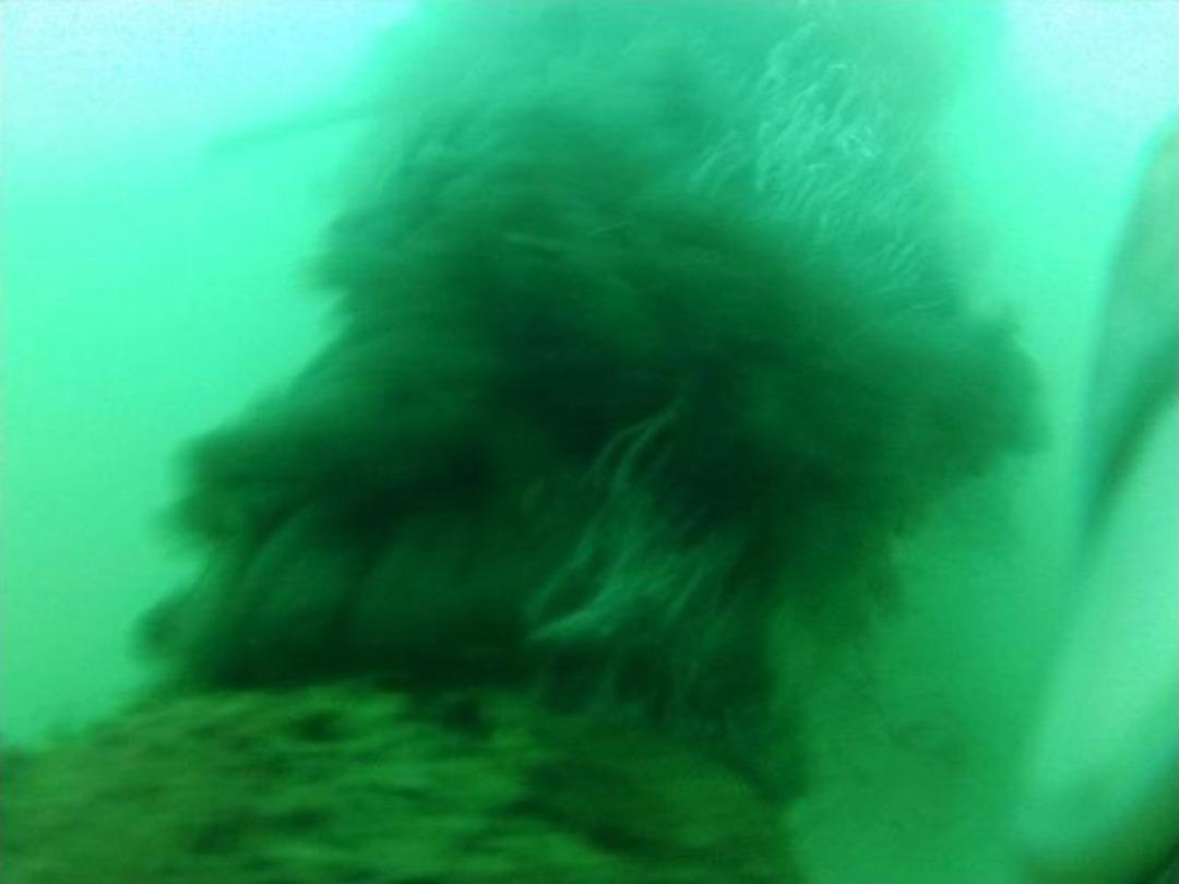 Baski&rsquo;ye Denizde De Durmak Yok