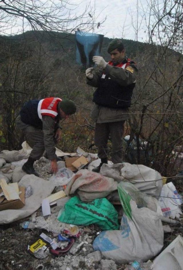 Jandarma’Dan Uludağ’Da Moloz Operasyonu