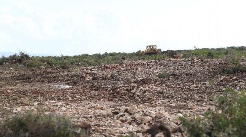 Didim Ziraat Odası&rsquo;ndan Hazine Arazilerdeki Talana Tepki