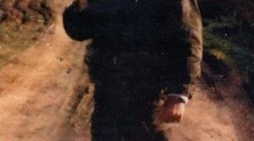 Teskere G&uuml;n&uuml; Firar Ettiği İddia Edilen Ve &Ouml;l&uuml; Bulunan Askerin Davası Zaman Aşımına Uğradı