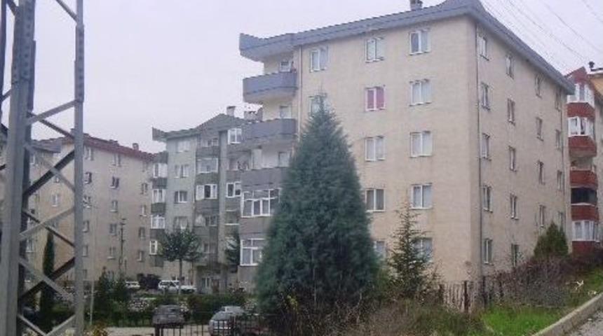 Elektrik Tellerine Konarak Kısa Devre Yaptıran Kuş İki Mahalleyi Elektriksiz Bıraktı