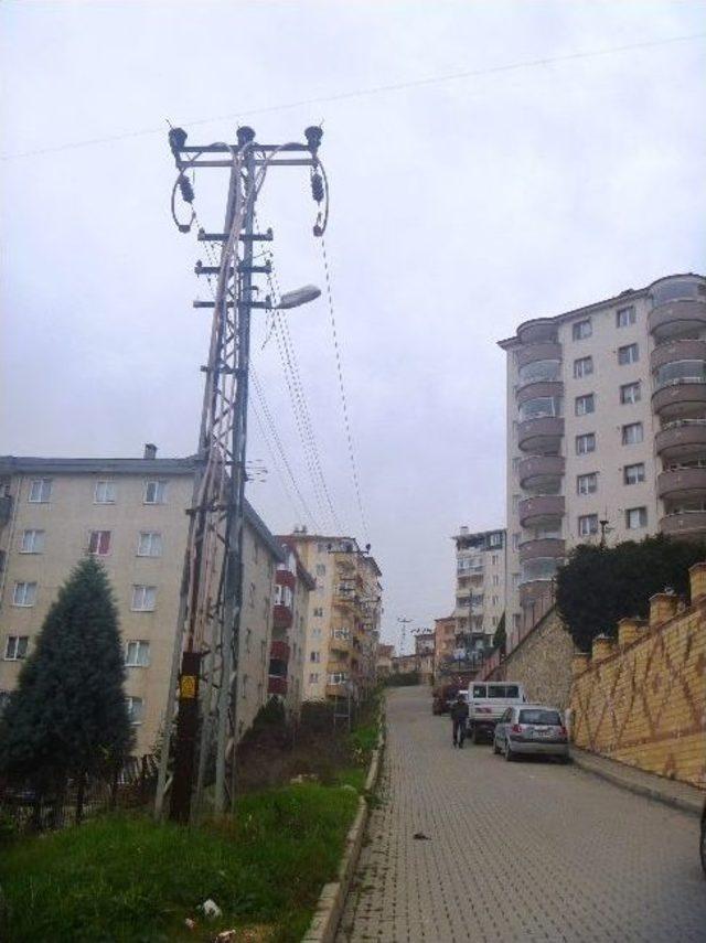 Elektrik Tellerine Konarak Kısa Devre Yaptıran Kuş İki Mahalleyi Elektriksiz Bıraktı