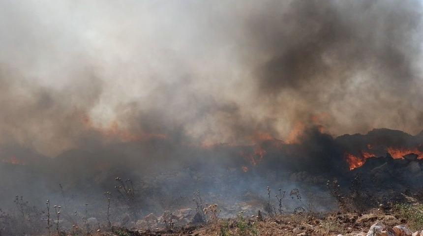 Aydın’da Çöplük Yangınları Korkutmaya Başladı