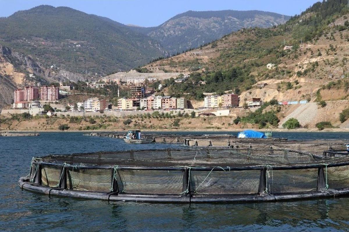 Denizi Yok Ama Japonya&rsquo;ya Balık İhra&ccedil; Ediyor