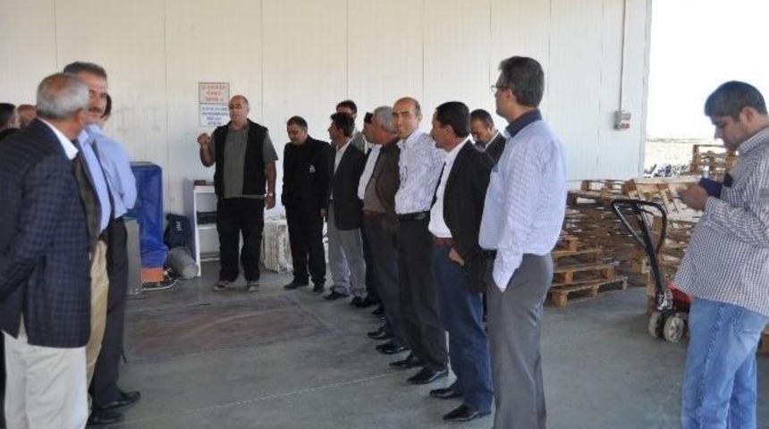 Batmanlı &Ccedil;ilek &Uuml;reticileri, Silifke &Ccedil;ileğini İnceledi