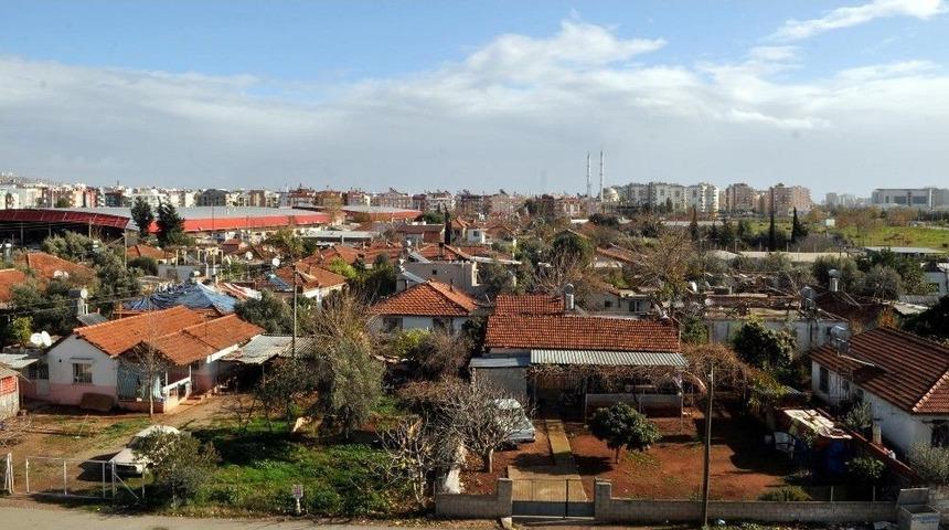 G&uuml;lveren&rsquo;de Mutlu Son