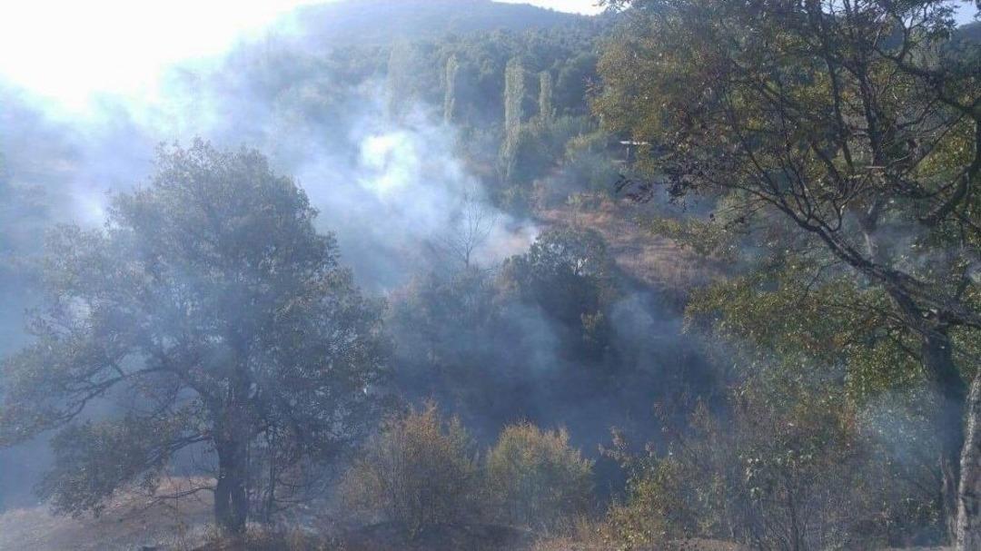 Samanlıkta &Ccedil;ıkan Yangın Ormana Sı&ccedil;radı