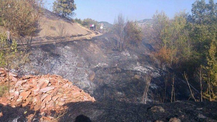 Samanlıkta Çıkan Yangın Ormana Sıçradı G1