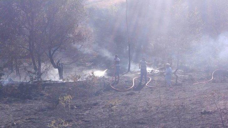 Samanlıkta Çıkan Yangın Ormana Sıçradı G2