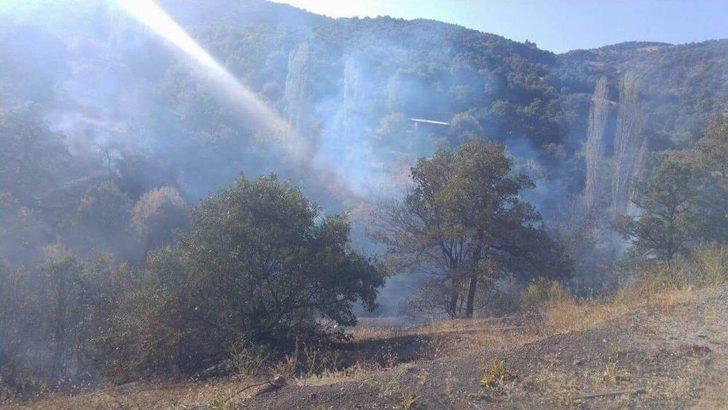 Samanlıkta Çıkan Yangın Ormana Sıçradı G3