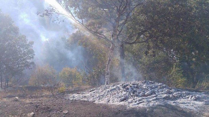 Samanlıkta Çıkan Yangın Ormana Sıçradı G4