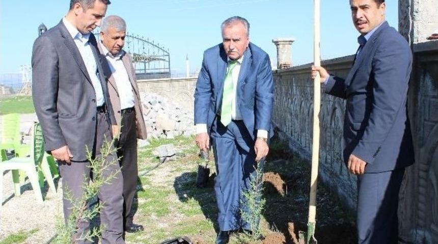 Samsat&rsquo;ta Ağa&ccedil;landırma &Ccedil;alışması