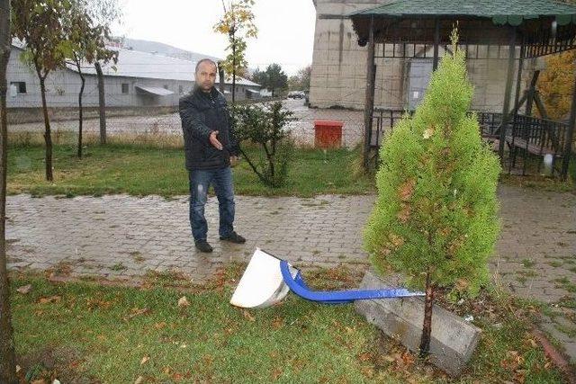 Yozgat’ta Kimliği Belirsiz Kişiler Taksi Durağının Camını Kırıp Parktaki Kamelyalara Zarar Verdi
