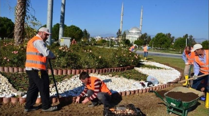Manavgat&rsquo;ta Lale Ekimi Başladı