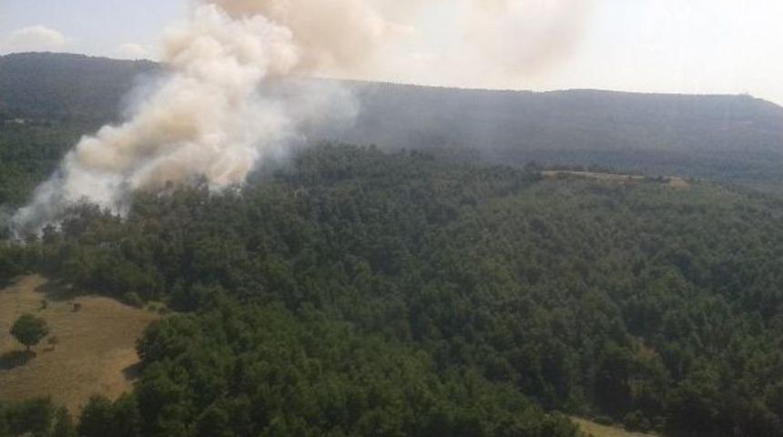 &Ccedil;anakkale Yangın Sezonunu Başarıyla Tamamladı