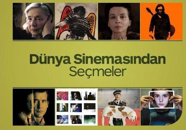 Osm&rsquo;de G&ouml;sterimler Devam Ediyor 1