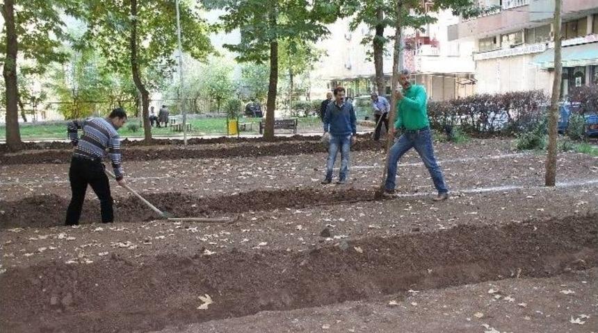Bağlar Belediyesi&rsquo;nden Yeşil Seferberliği