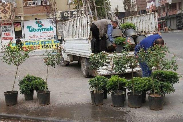 Bağlar Belediyesi’nden Yeşil Seferberliği