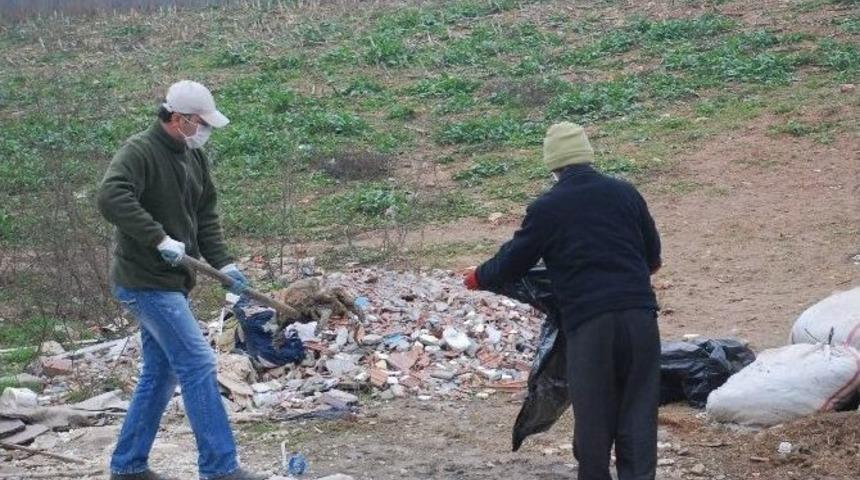 Tokat&rsquo;ta Telef Olan K&ouml;pekler Toplatıldı