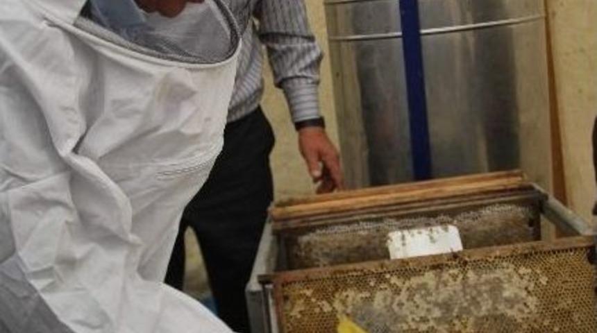 Başkan Özer Kayalı; Sır Aldı, Bal Hasadı Yaptı