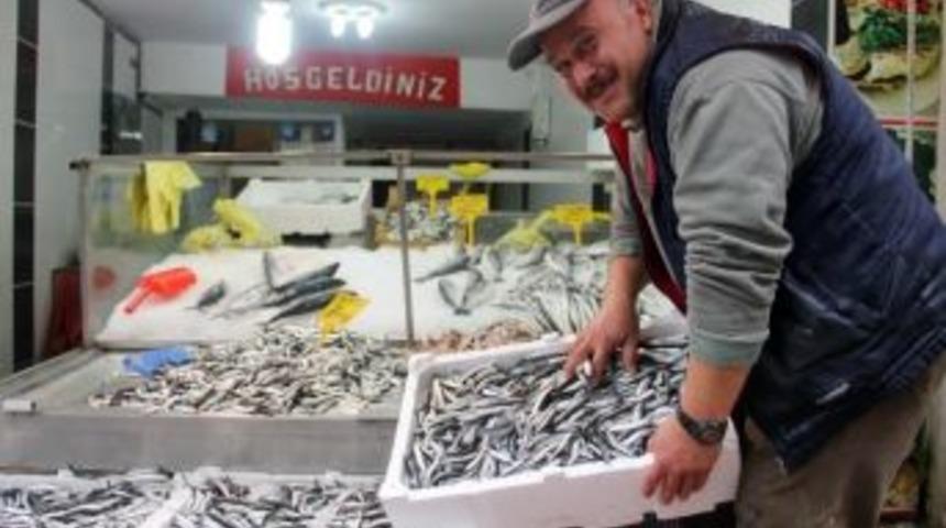 Sezonun İlk Karadeniz Hamsisi Tezgahlarda